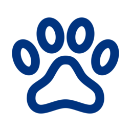 Veterinary Hospital Equipments